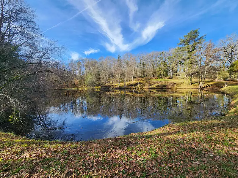 Étang de pêche de 1,2 ha à Saint-Hilaire-les-Places — photo 3