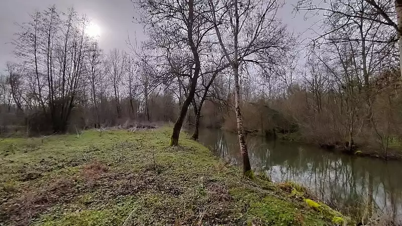 Étang de pêche à Saint-Hilaire-la-Palud