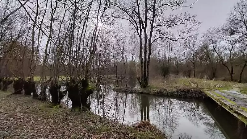 Étang de pêche à Saint-Hilaire-la-Palud — photo 3