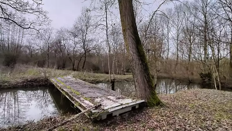 Private leisure lake, 0.5 ha, Nouvelle-Aquitaine — photo 5