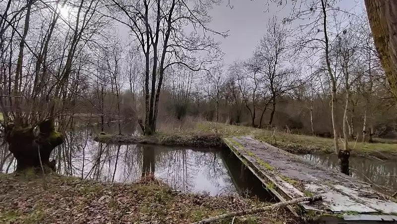 Étang de pêche à Saint-Hilaire-la-Palud — photo 4