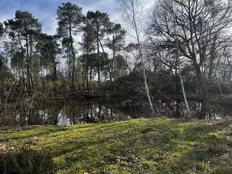 Étang d'agrément à Montendre — photo 2
