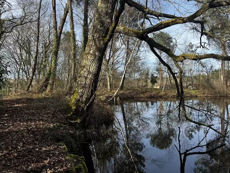 Étang d'agrément à Montendre