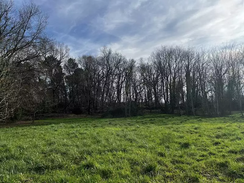 Étang d'agrément à Montendre — photo 3