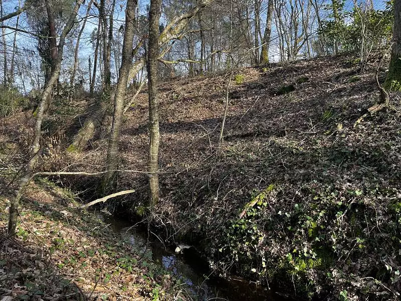Étang d'agrément à Montendre — photo 2