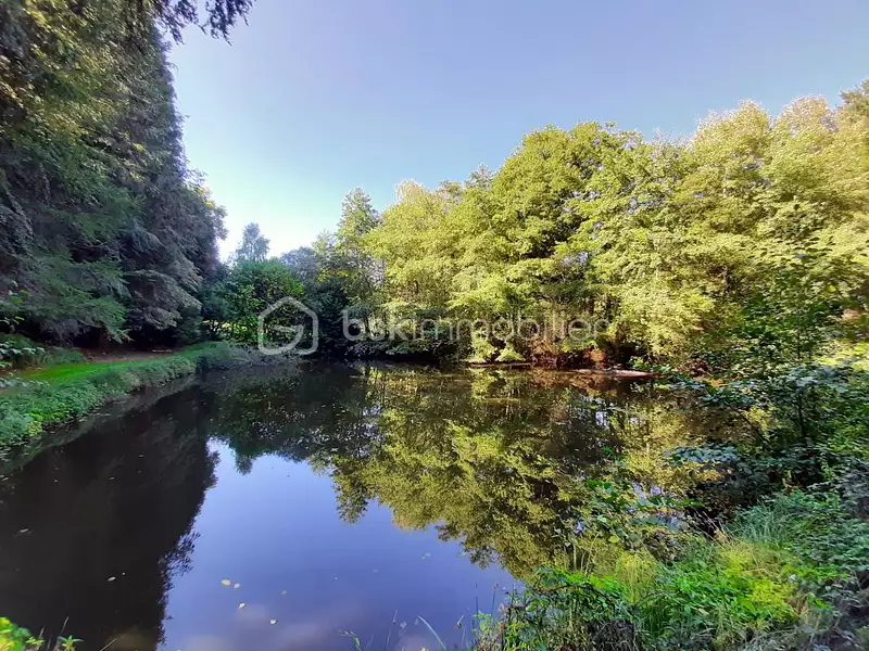 Étang d'agrément à Cognac-la-Forêt — photo 2