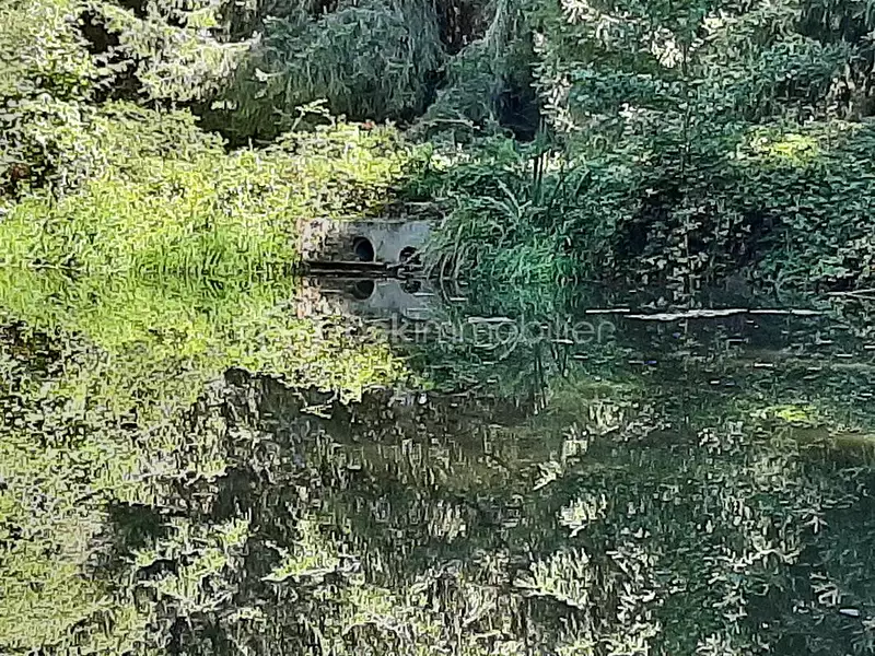 Étang d'agrément à Cognac-la-Forêt — photo 3