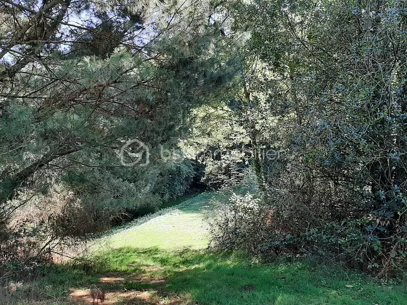 Étang d'agrément à Cognac-la-Forêt — photo 4