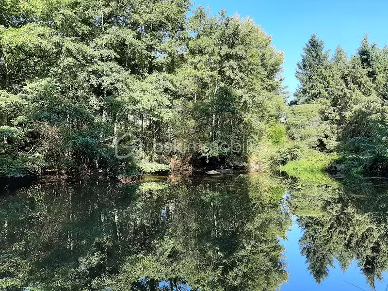 Étang d'agrément à Cognac-la-Forêt