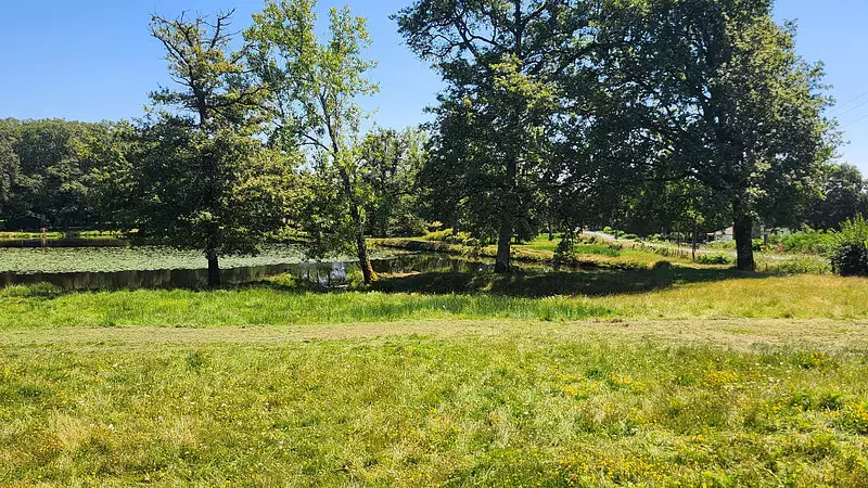 Étang de pêche de 1,7 ha à Oradour-sur-Glane — photo 4