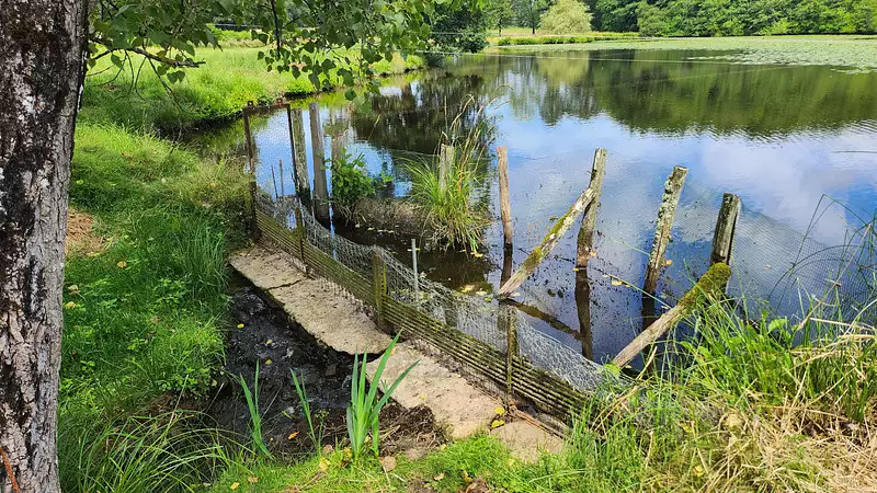 Étang de pêche de 1,7 ha à Oradour-sur-Glane — photo 3