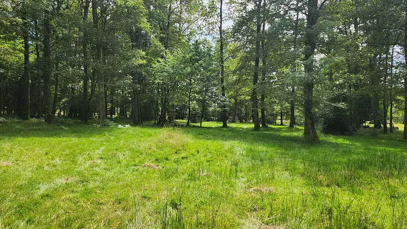 Étang de pêche de 1,7 ha à Oradour-sur-Glane — photo 3
