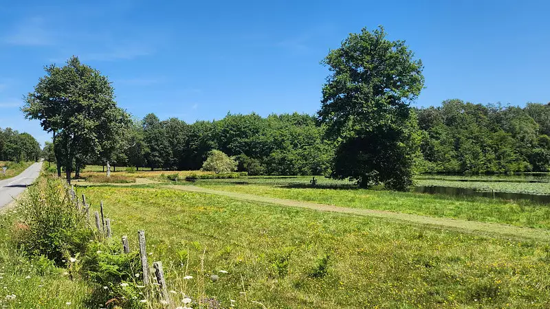 Étang de pêche de 1,7 ha à Oradour-sur-Glane