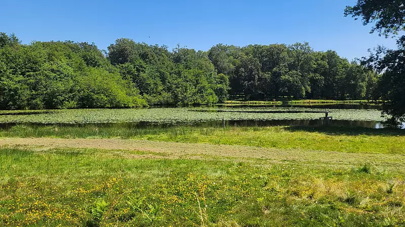 Étang de pêche de 1,7 ha à Oradour-sur-Glane — photo 4