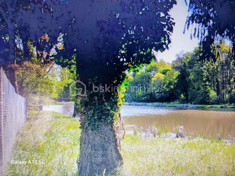 Étang d'agrément à Antran — photo 2