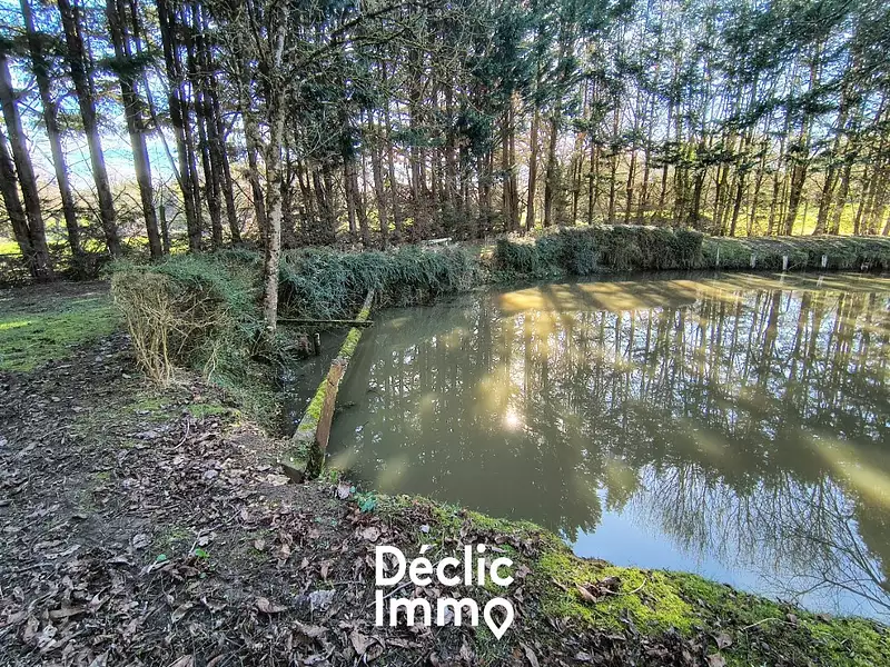 Étang de pêche à Aubigny