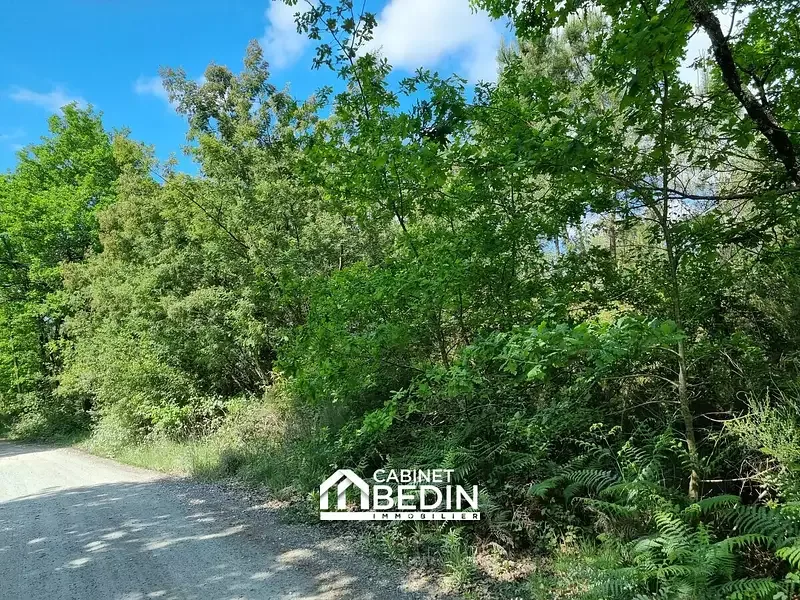 Étang de loisir à Audenge (33)
