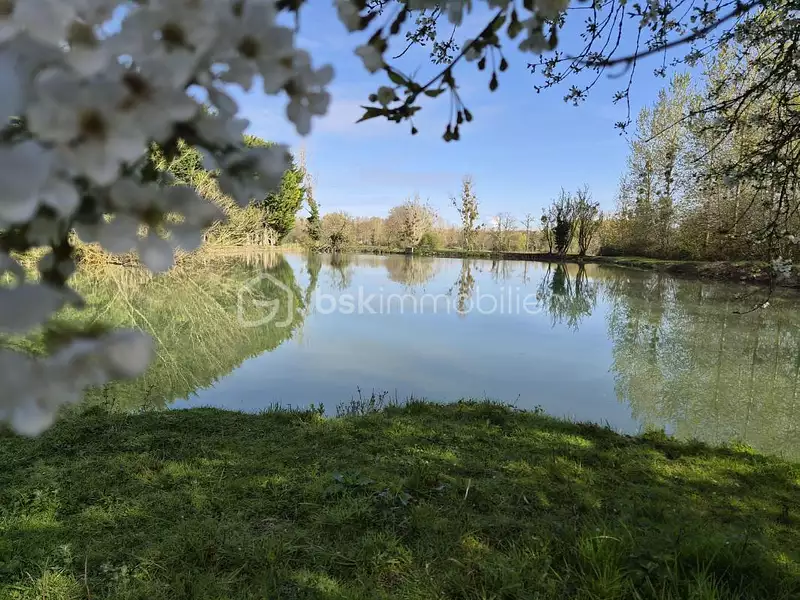 Étang de pêche à Angliers — photo 5