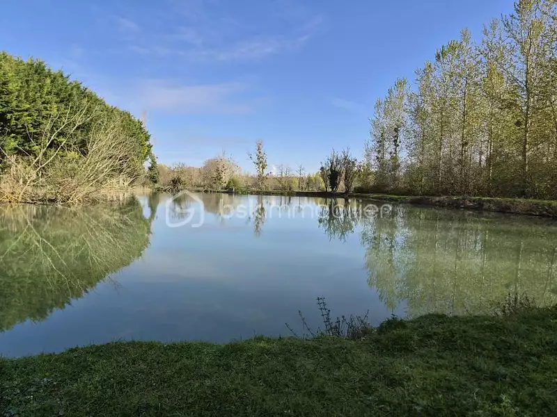 Étang de pêche à Angliers — photo 2