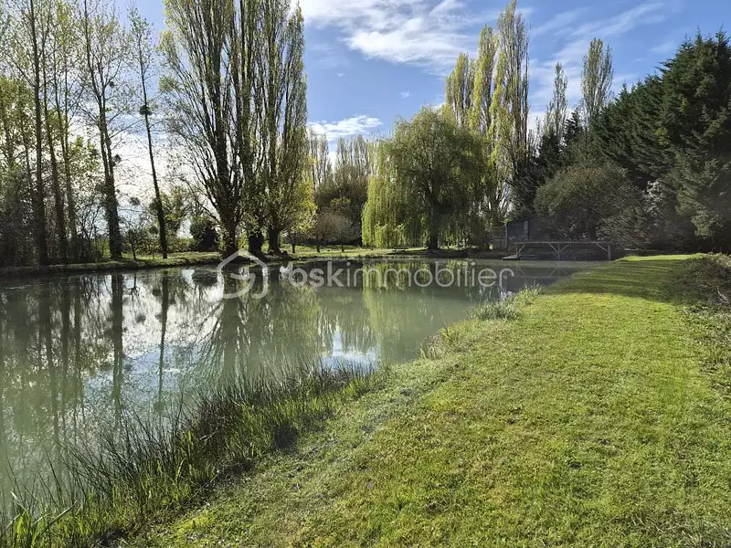 Étang de pêche à Angliers — photo 4