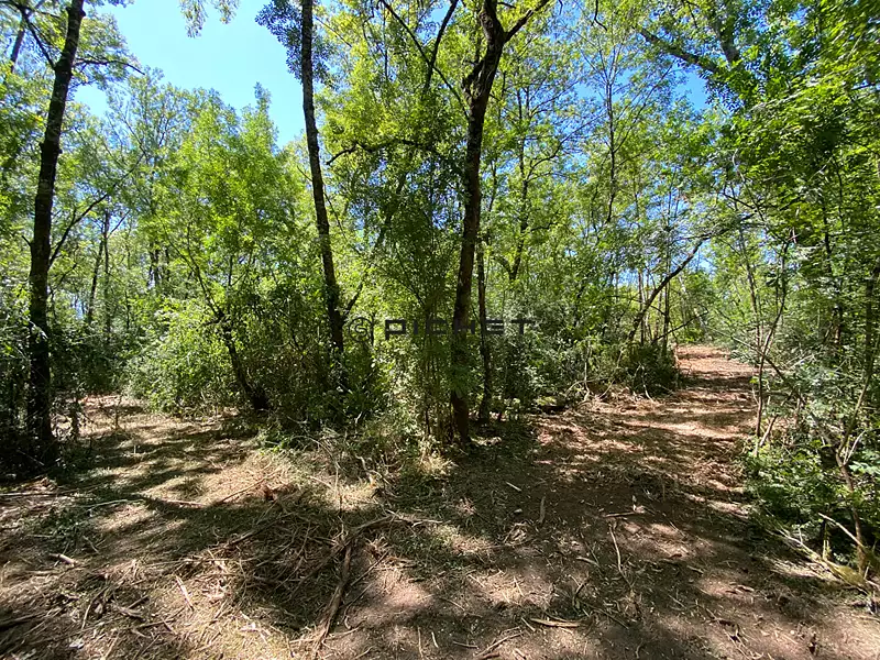 Étang d'agrément à Fronsac — photo 3