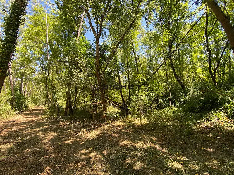 Étang d'agrément à Fronsac — photo 4