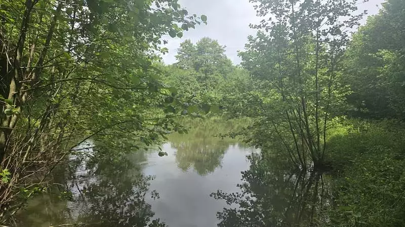 Étang de pêche à Pierrefitte — photo 3