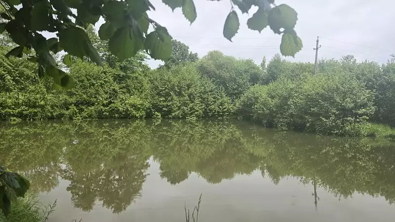 Étang de pêche à Pierrefitte — photo 4