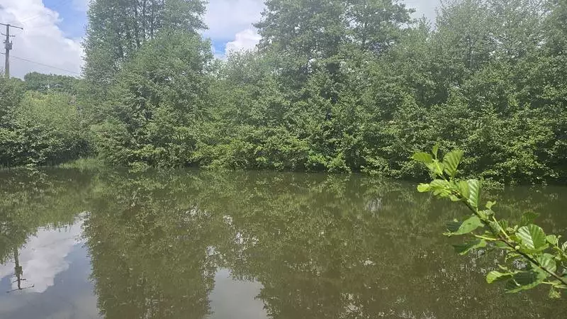Étang de pêche à Pierrefitte — photo 2