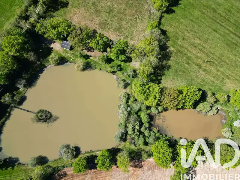 Étang de pêche à Availles-Limouzine