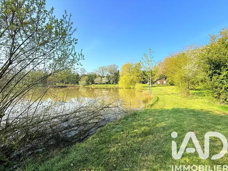 Étang de pêche à Availles-Limouzine — photo 3
