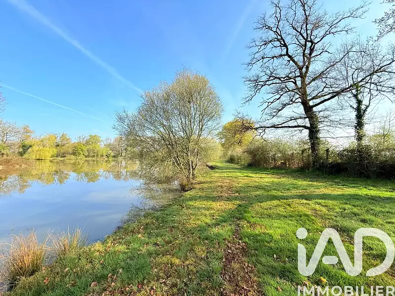 Étang de pêche à Availles-Limouzine — photo 4