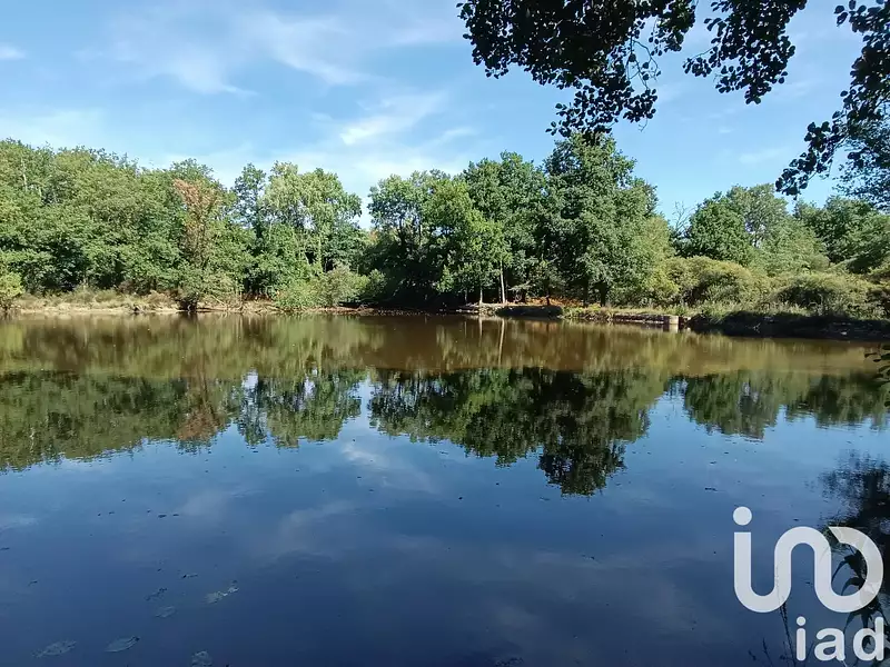 Étang de pêche de 1,5 ha à Bord-Saint-Georges — photo 4