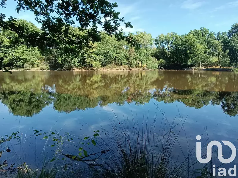 Étang de pêche de 1,5 ha à Bord-Saint-Georges — photo 5