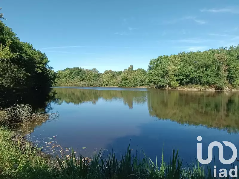 Étang de pêche de 1,5 ha à Bord-Saint-Georges — photo 2