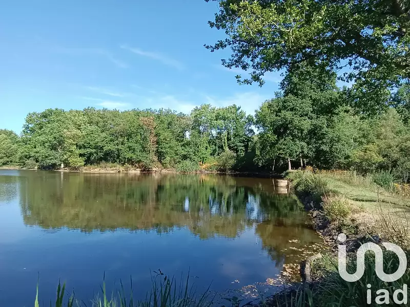 Étang de pêche de 1,5 ha à Bord-Saint-Georges — photo 3