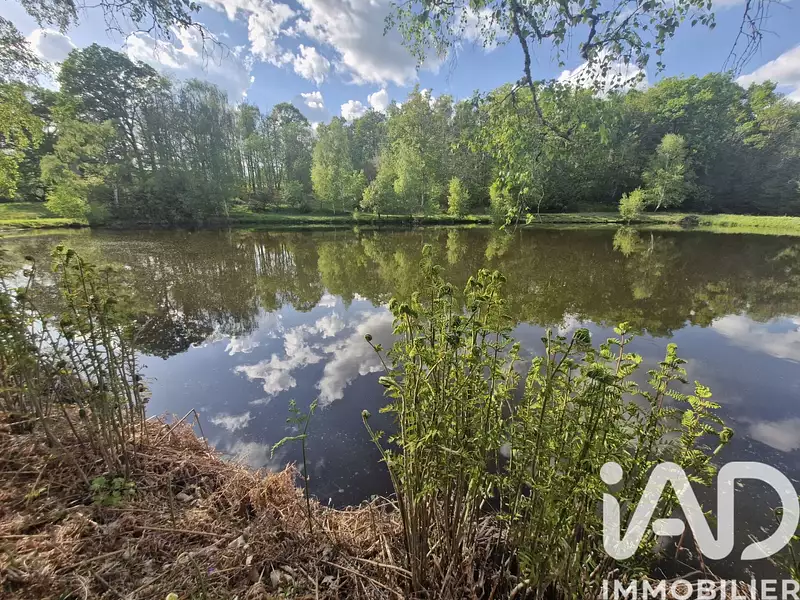 Étang d'agrément à Cognac-la-Forêt — photo 2