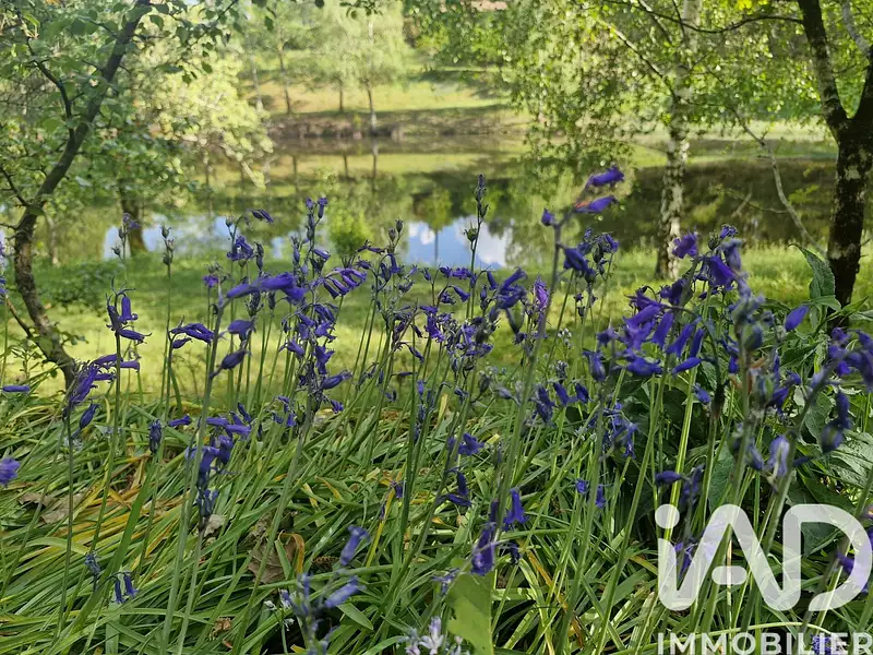 Étang d'agrément à Cognac-la-Forêt — photo 3