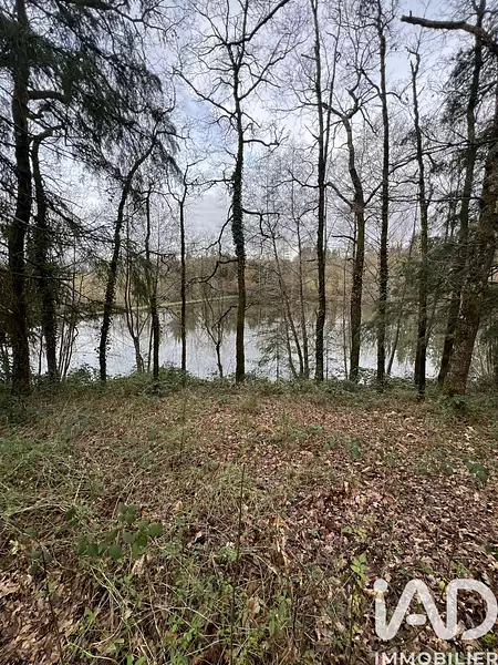 Étang de pêche à Chaillac-sur-Vienne — photo 2