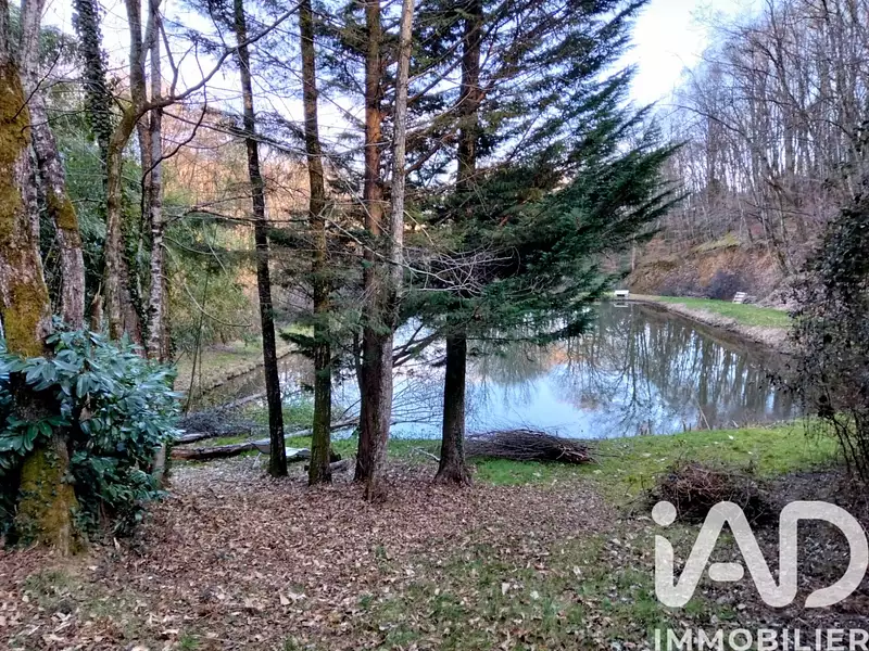 Étang de pêche à Saint-Hilaire-Peyroux — photo 3