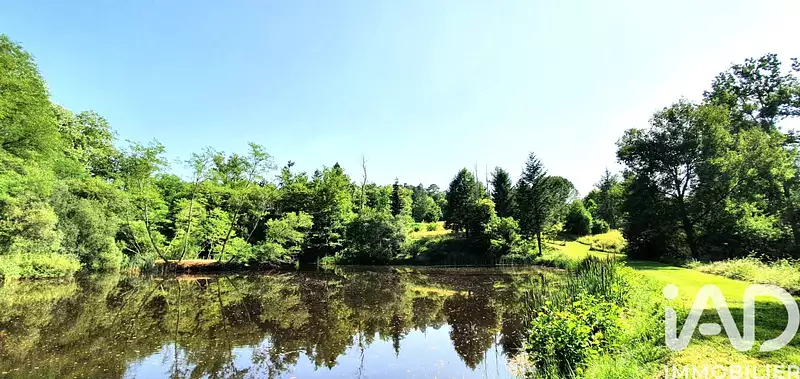Étang d'agrément à Brive-la-Gaillarde — photo 3