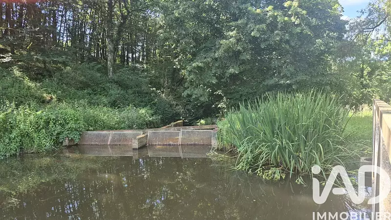 Leisure lake, 2 ha with fishing potential in Limousin — photo 5