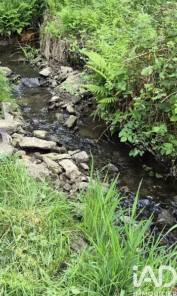 Étang d'agrément à Saint-Léonard-de-Noblat — photo 3