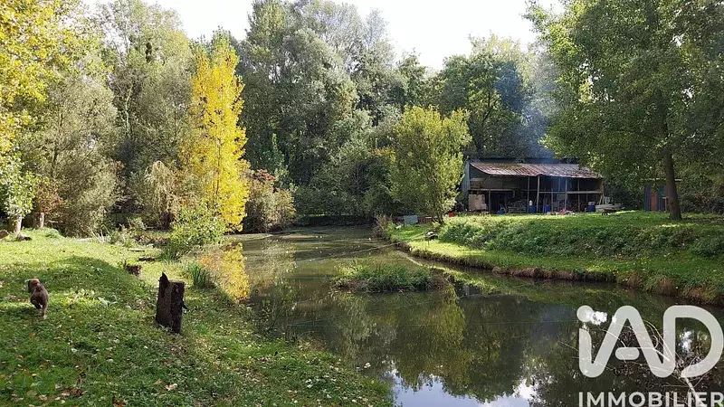Étang de pêche à Dissay — photo 2