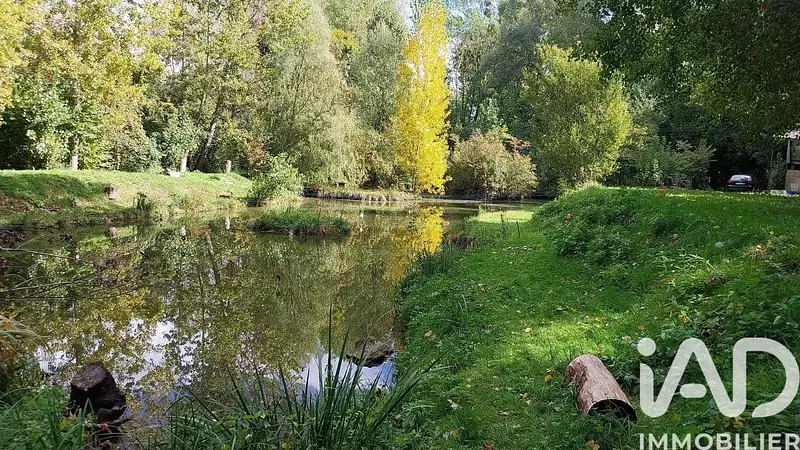 Étang de pêche à Dissay