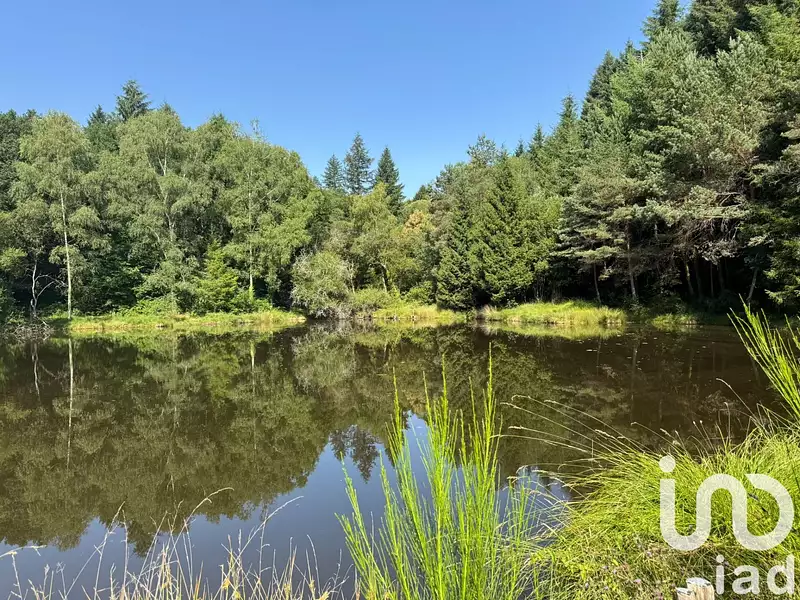 Étang de pêche de 3,5 ha à Nieul — photo 2