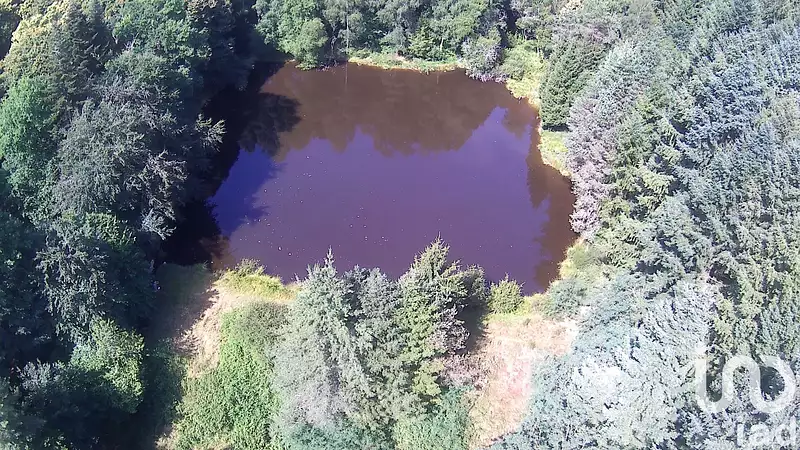 Étang de pêche de 3,5 ha à Nieul — photo 4