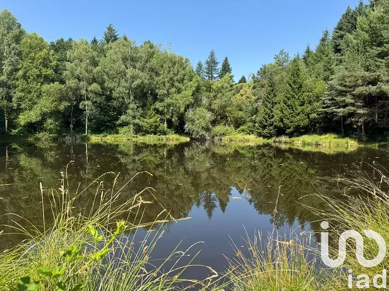 Étang de pêche de 3,5 ha à Nieul