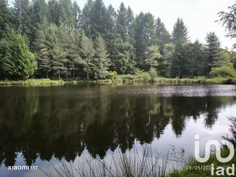 Étang de pêche de 3,5 ha à Nieul — photo 4