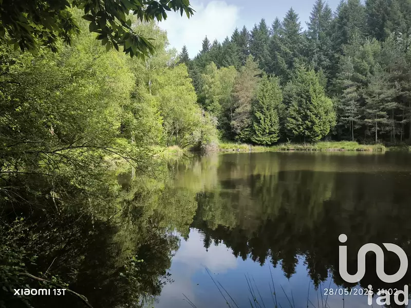 Étang de pêche de 3,5 ha à Nieul — photo 5